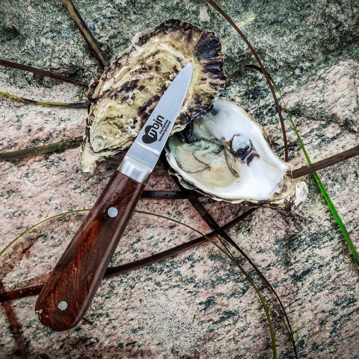 Austernmesser mit MOJN-Logo image 1
