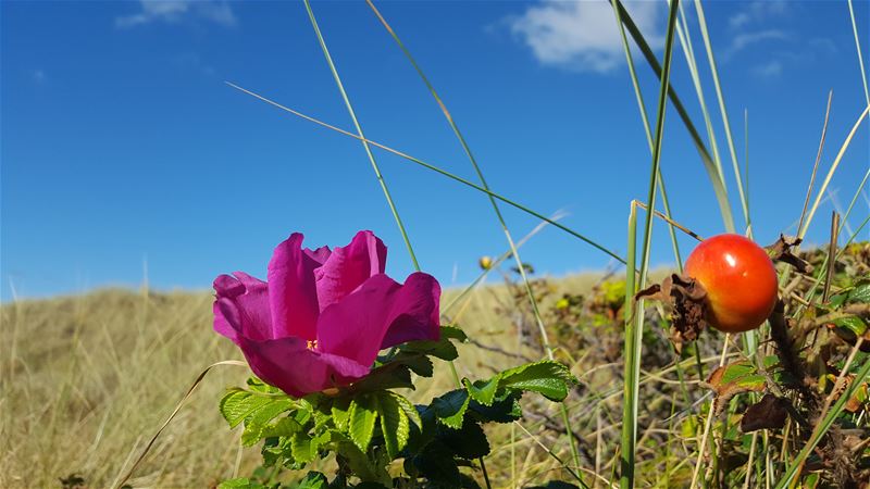 cbis:2012380-26