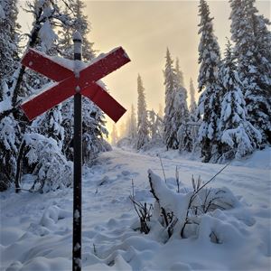 A snowmobile path with a red crossing sign.