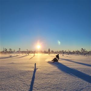 A snowmobile in action.