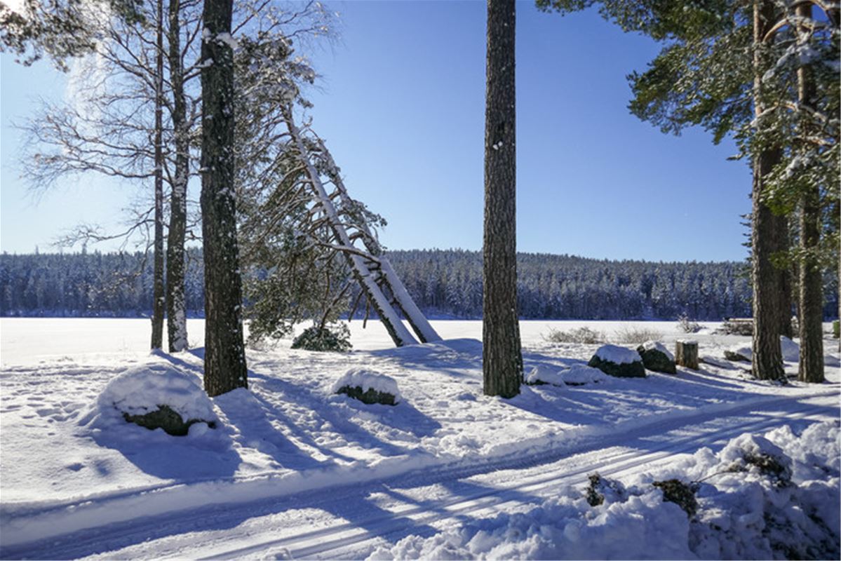 Preparerat längdskidspår, snöklädda träd, en snötäckt sjö, skog i bakgrunden.