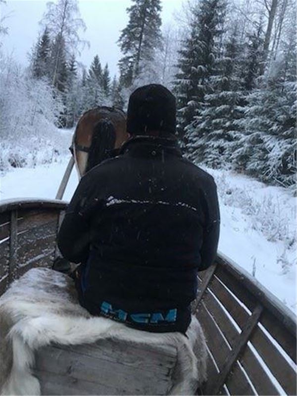 Rider and horse on sleigh ride.