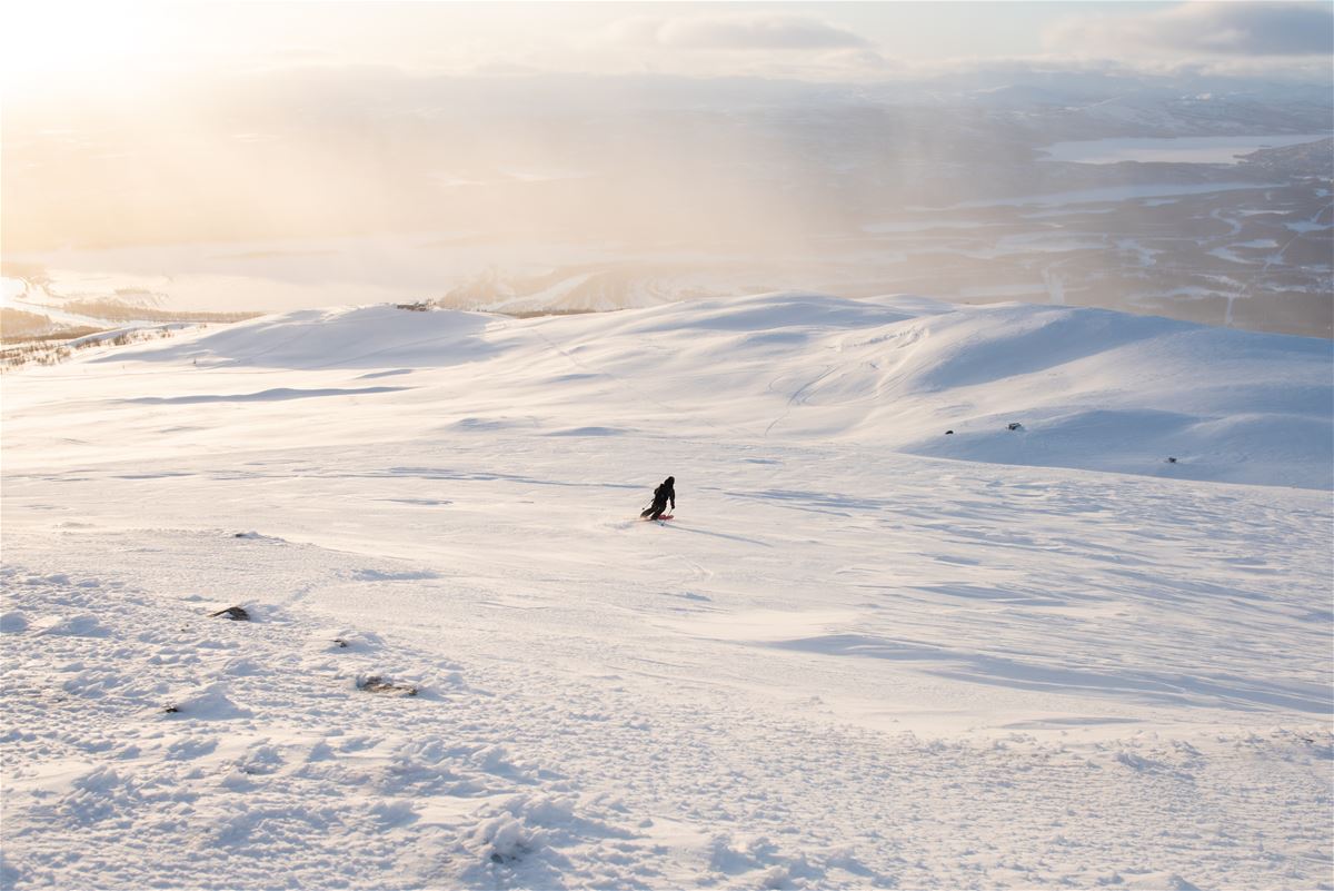Alpint Skidor, Allmountain Röd image 1
