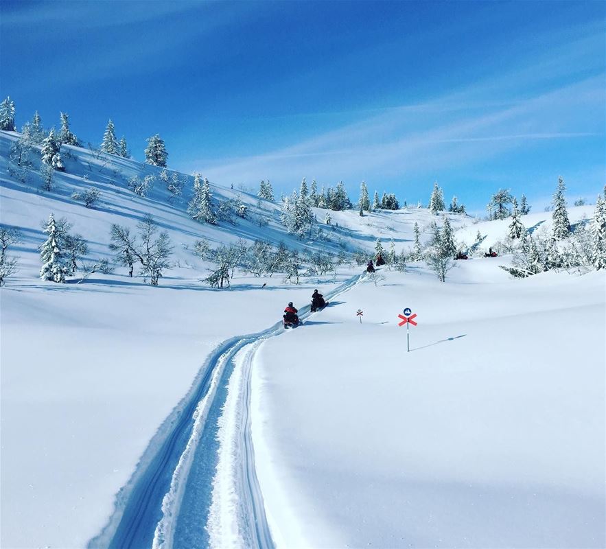 Ski trails on the mountain with blue sky.