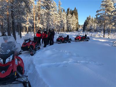 Snowmobiles in a row in a snowmobile track.