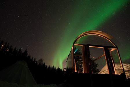 glass cabin with northern lights above