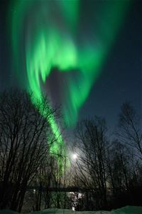northern lights