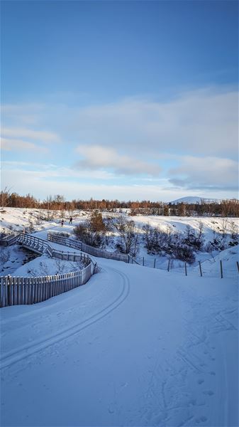 cbis:2021309-4