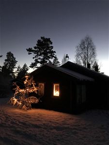 Stuga i mörkret med upplyst julgran på gården.