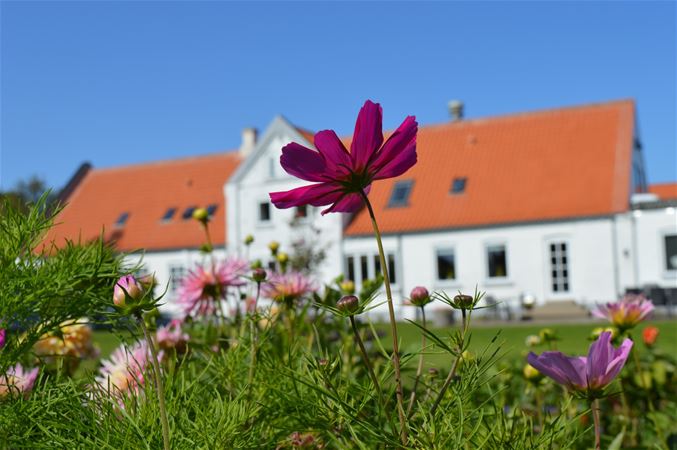 Aalbæk badehotel