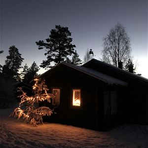 Cottage in the dark with illuminated Christmas tree in the yard.