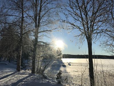 Utsikt över sjö och solen tittar fram mellan träden i ett vintrigt landskap.