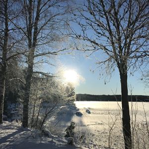 Utsikt över sjö och solen tittar fram mellan träden i ett vintrigt landskap.