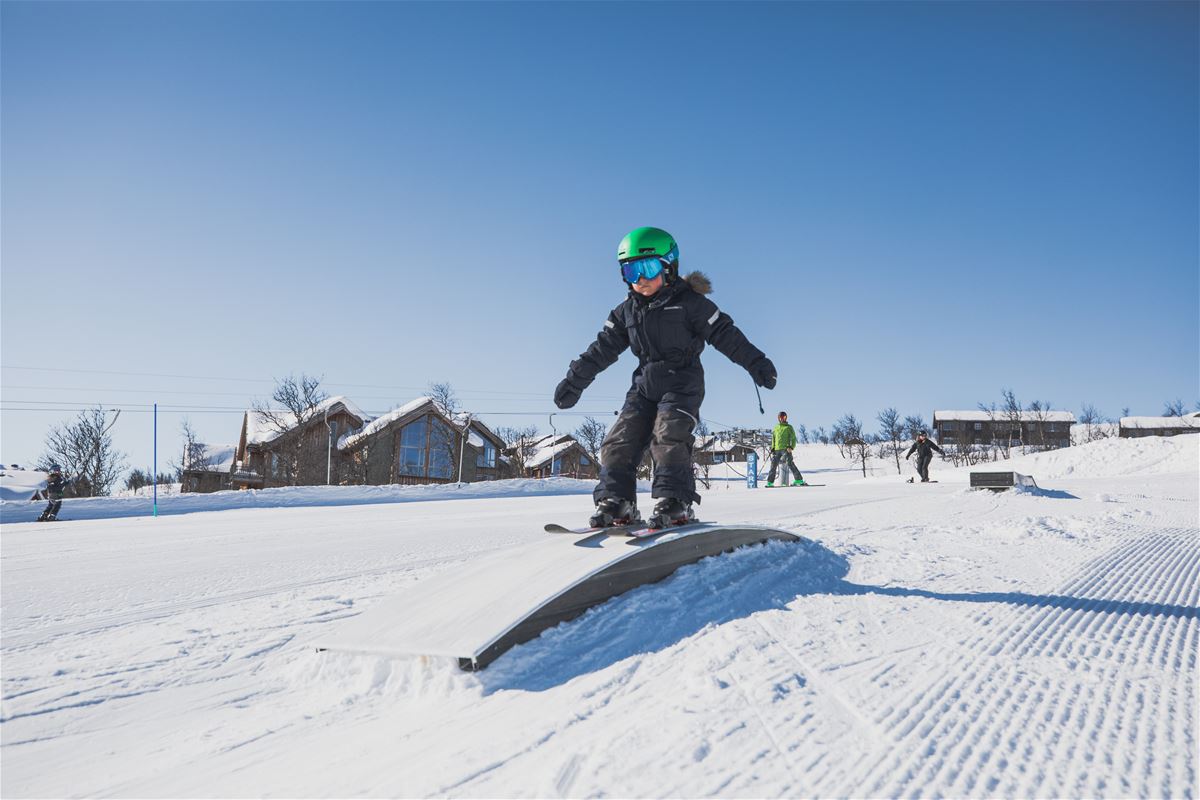 Skogtroll 5-7 år hos SkiGeilo Skiskole  image 1