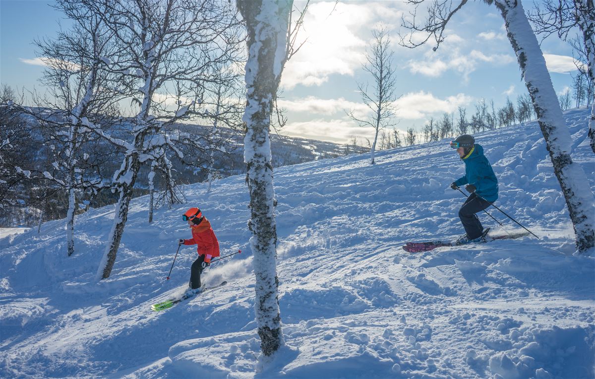 55 mins Private Ski Lesson image 1