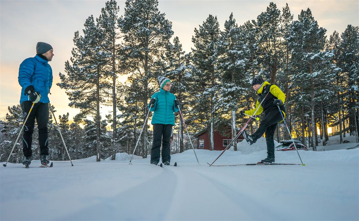 Cross Country Taster  image 1