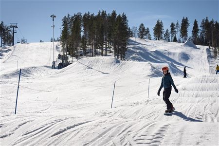 Två pister med en träddunge emellan, en snowboardåkare i framkant.