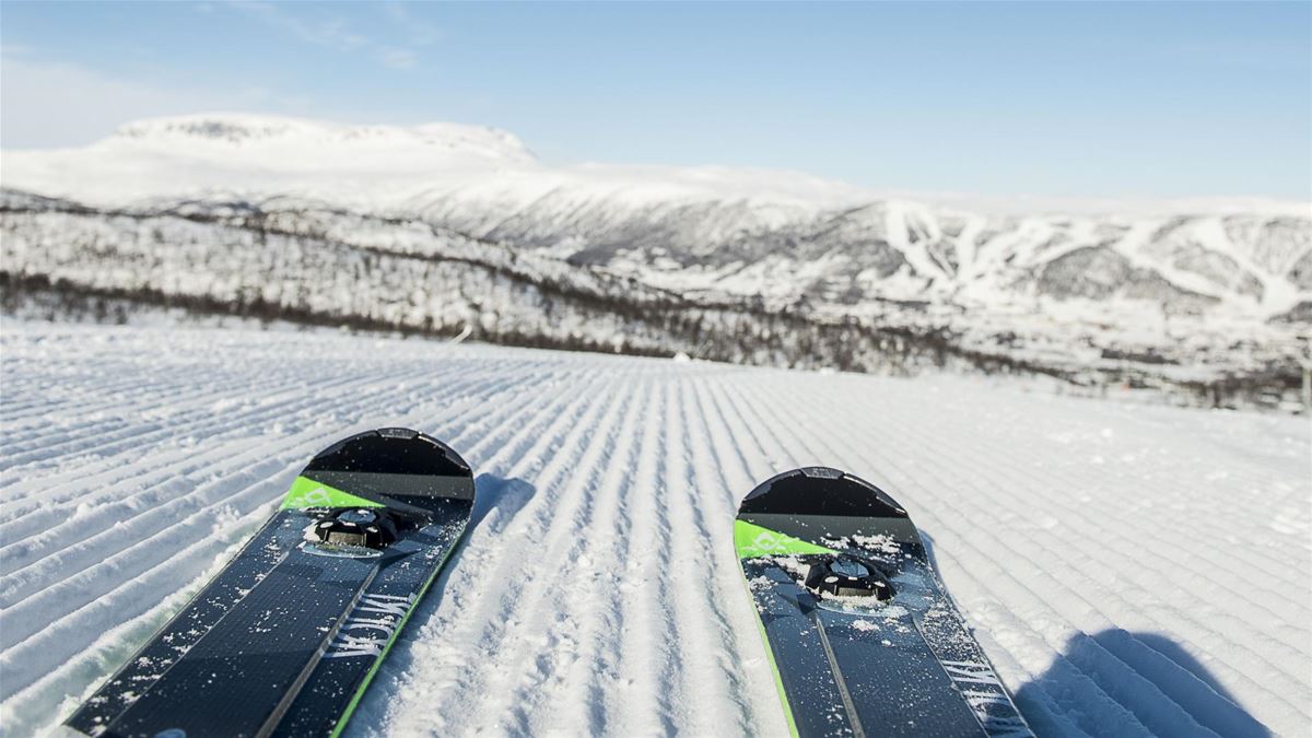 Ski Rental Geiloheisen image 1