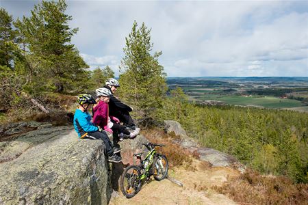 En kvinna och två barn som sitter på ett klippblock och blickar ut över skog, berg och gröna fält, en cykel står lutad mot stenblocket.