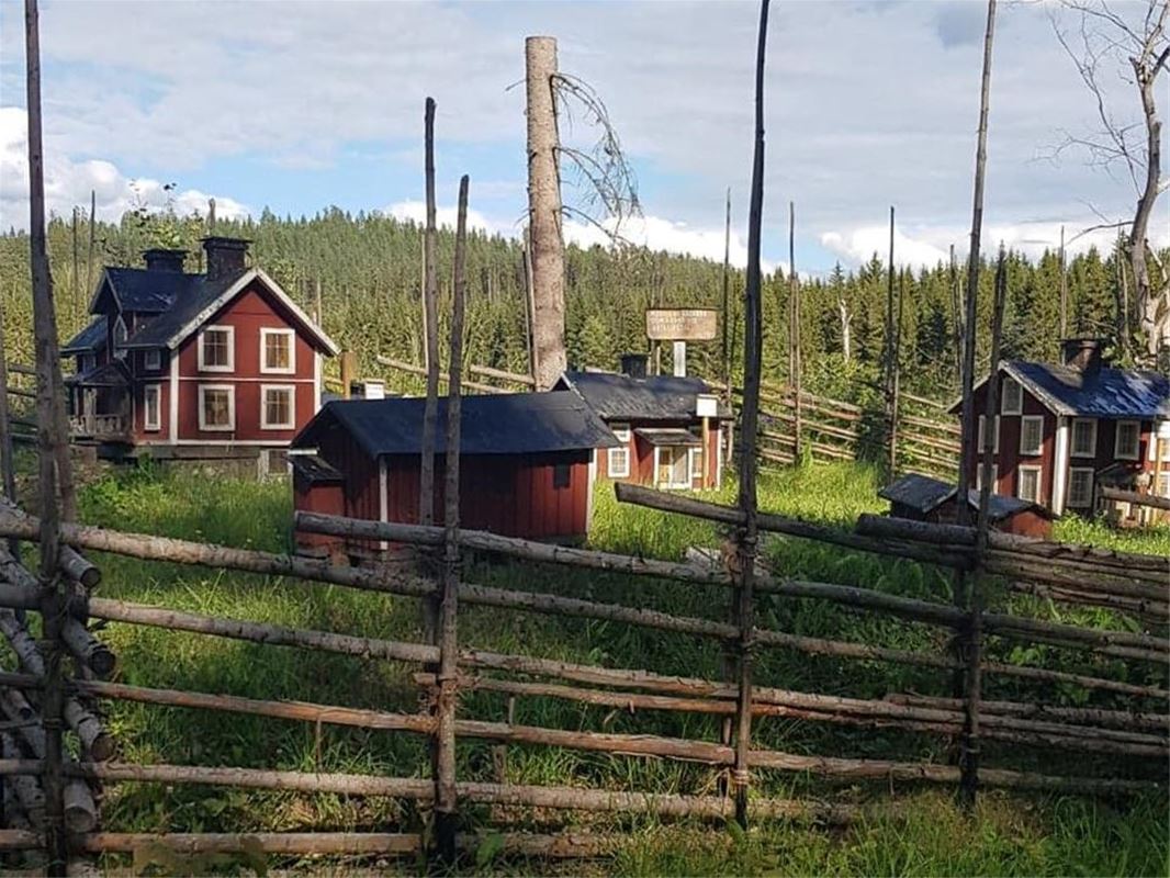 Gärdesgård runt Kristinedal.