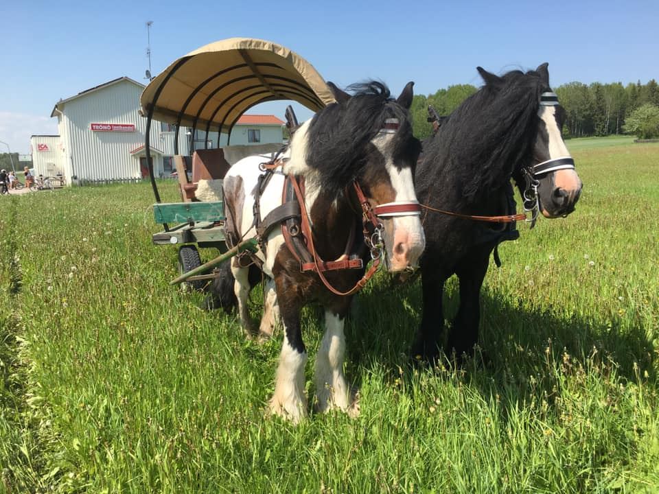 Bergesbackens får- och hästgård