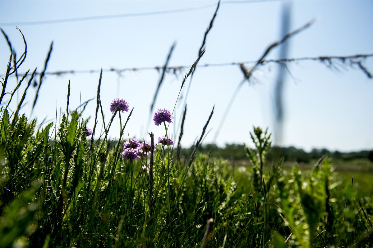 Gepäck transport image 1