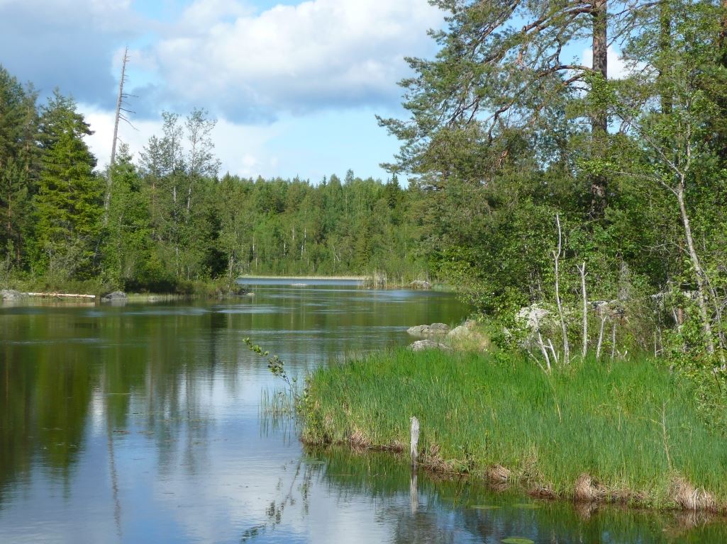 Forsa Fiskevårdsområde