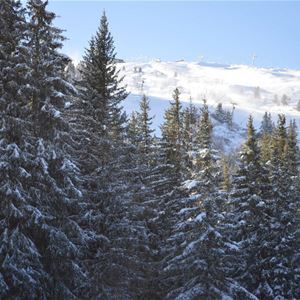 4 pièces, 6 personnes skis aux pieds / Domaine du Jardin Alpin R08A (Montagne)
