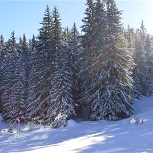 4 pièces, 6 personnes skis aux pieds / Domaine du Jardin Alpin R08A (Montagne)