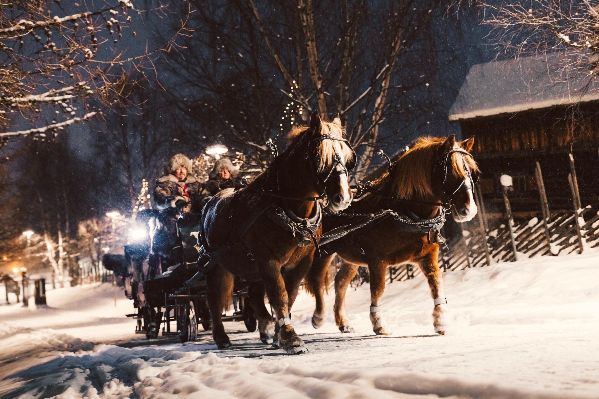 merry christmas horse sleigh