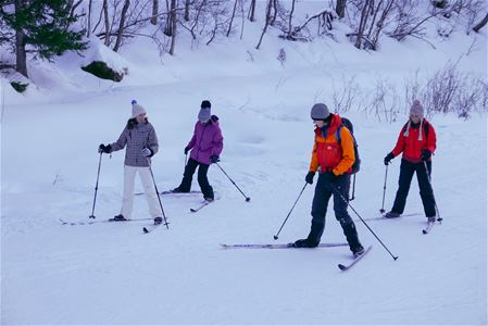 4 people cross-country skiing on a floodlit trail.