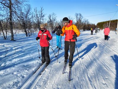 People cross-country skiing on a floodlit trail.