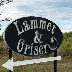 Pitch - Lammet & Grisen