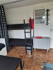 cbis:342646-4