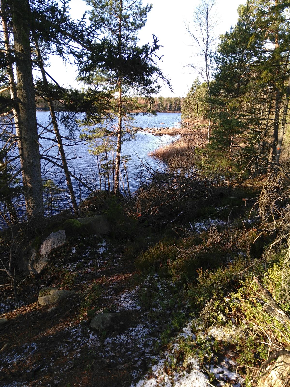 Vandring: Vandringsled i Kroksnäs naturreservat image 1