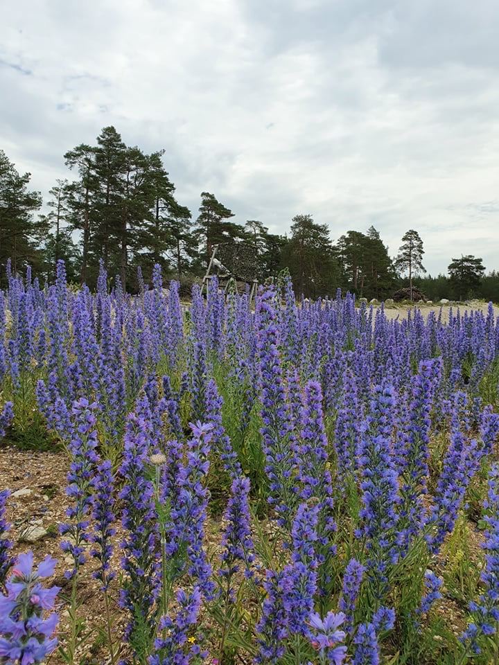 Lummelunda Stugor, Karta, Stugbyar Destination Gotland