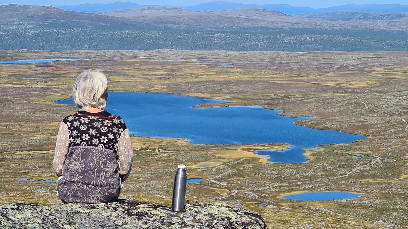 En dam som sitter och tittar ut över fjäll och små sjöar.