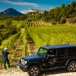 Discovery of vineyards and estates in Pic Saint Loup (and tastings) with Vign'O vins