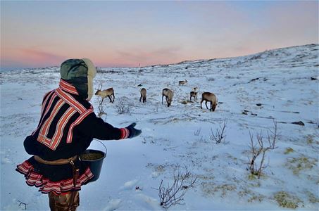 Person i vinterklær mater reinsdyr i snødekt landskap ved soloppgang eller solnedgang