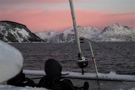 Fjords