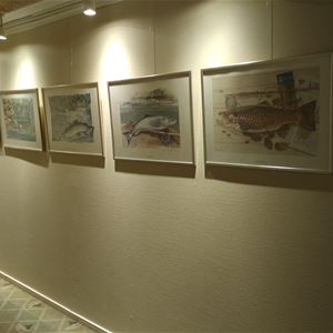 Exhibition -  fishes