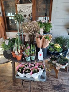 Interiör bild av blommor i butik