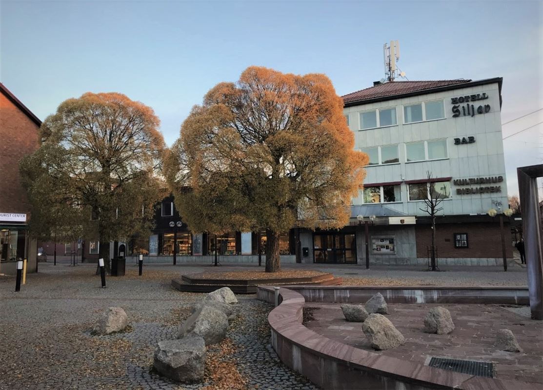 Exterior image of library with autumn-stained trees in the foreground.