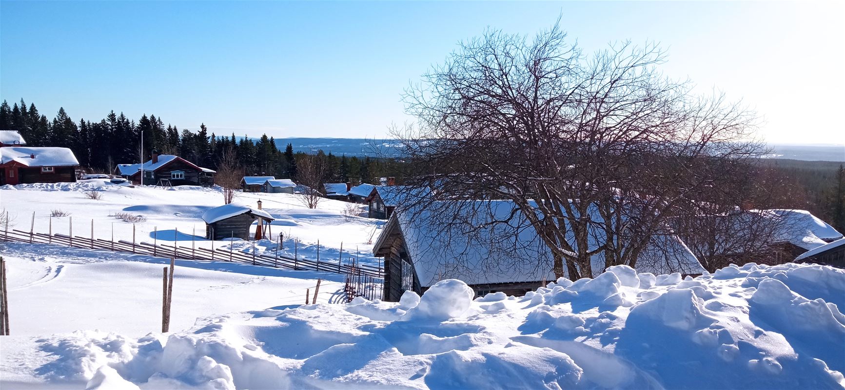 Snow-covered meadows and timberhouses with snow on the roofs.