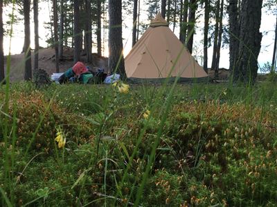 Tipitält i skogen.