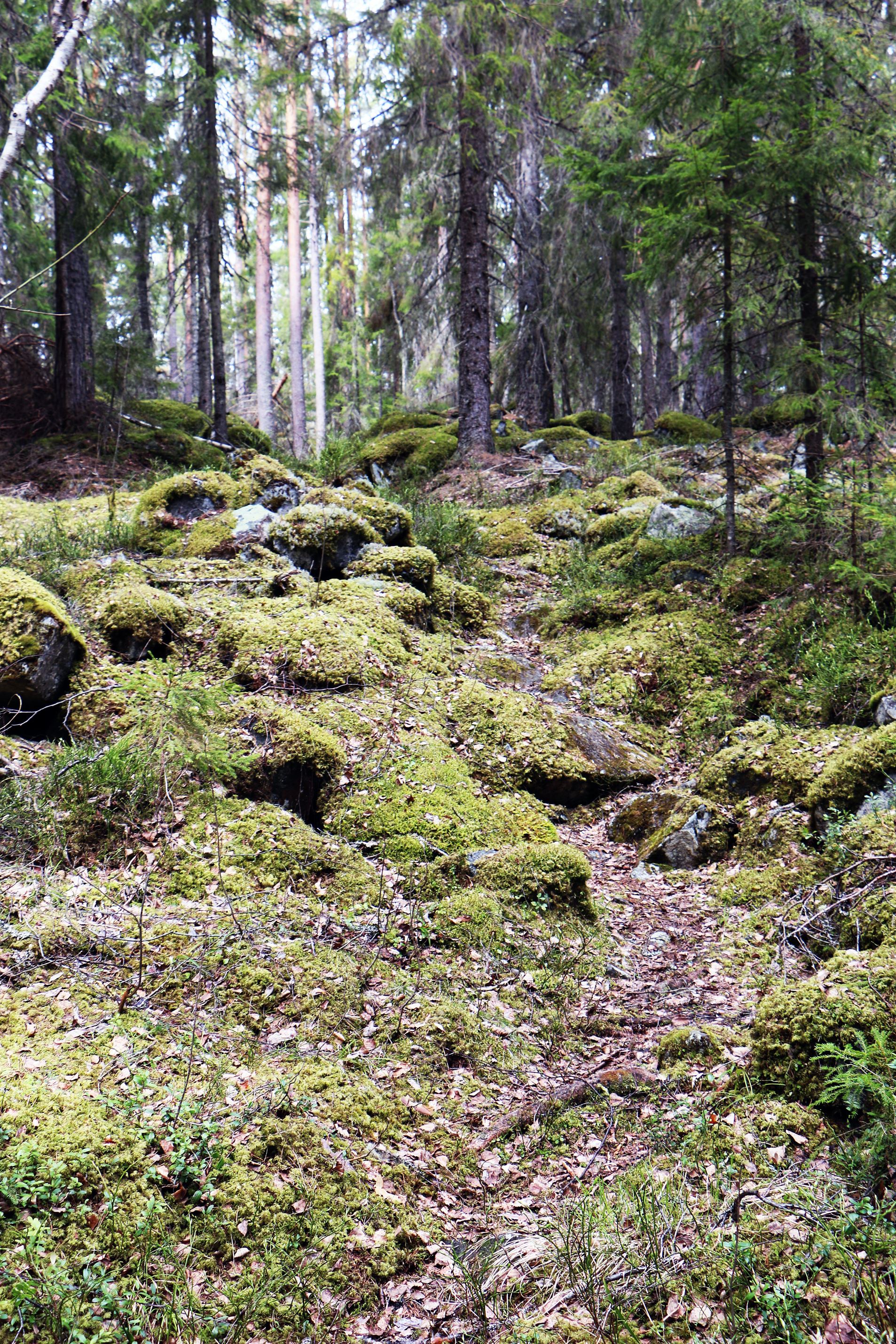 Trollberget