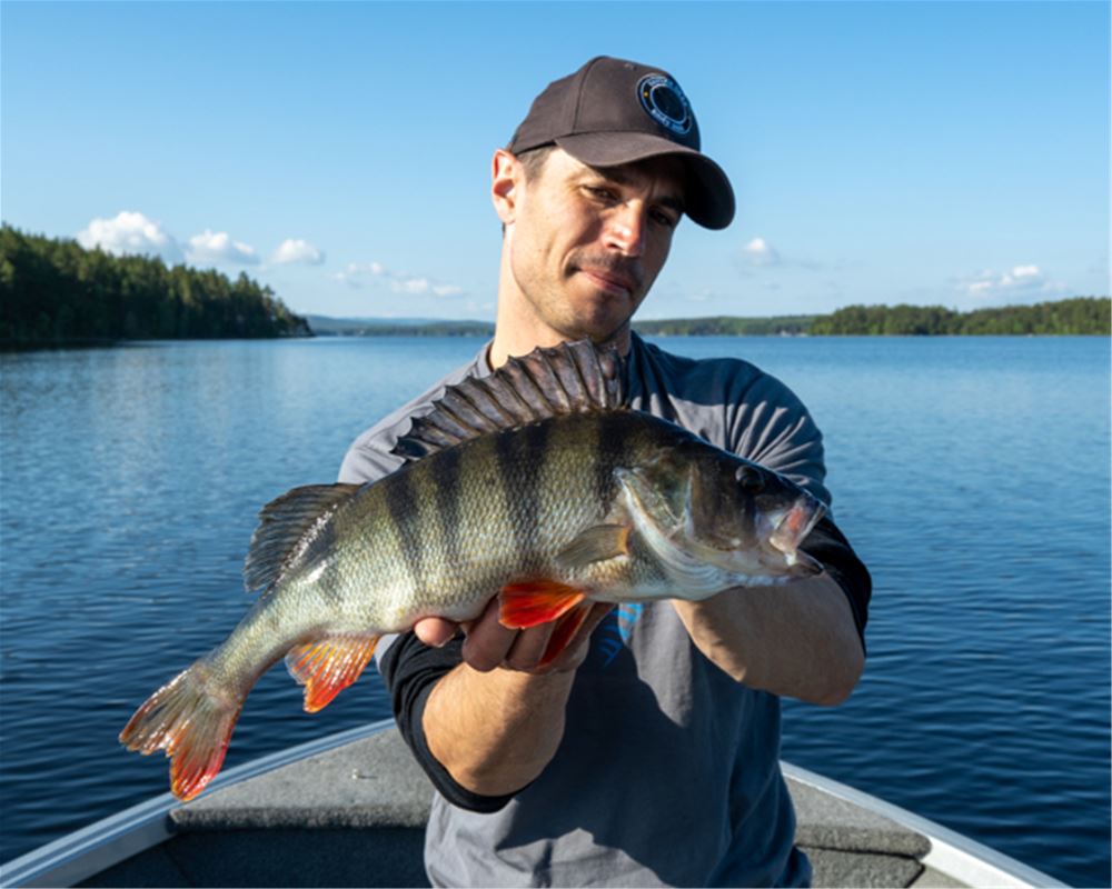 Cast and Catch Co' | Visit Dalarna
