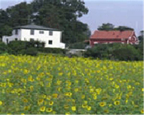 Discover the Countryside - Stay at Övergran Farm in Bålsta, Uppsala 