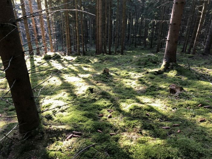 STF Ivögården Mat & Vingård