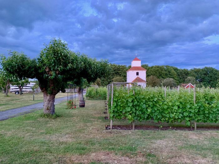 STF Ivögården Mat & Vingård